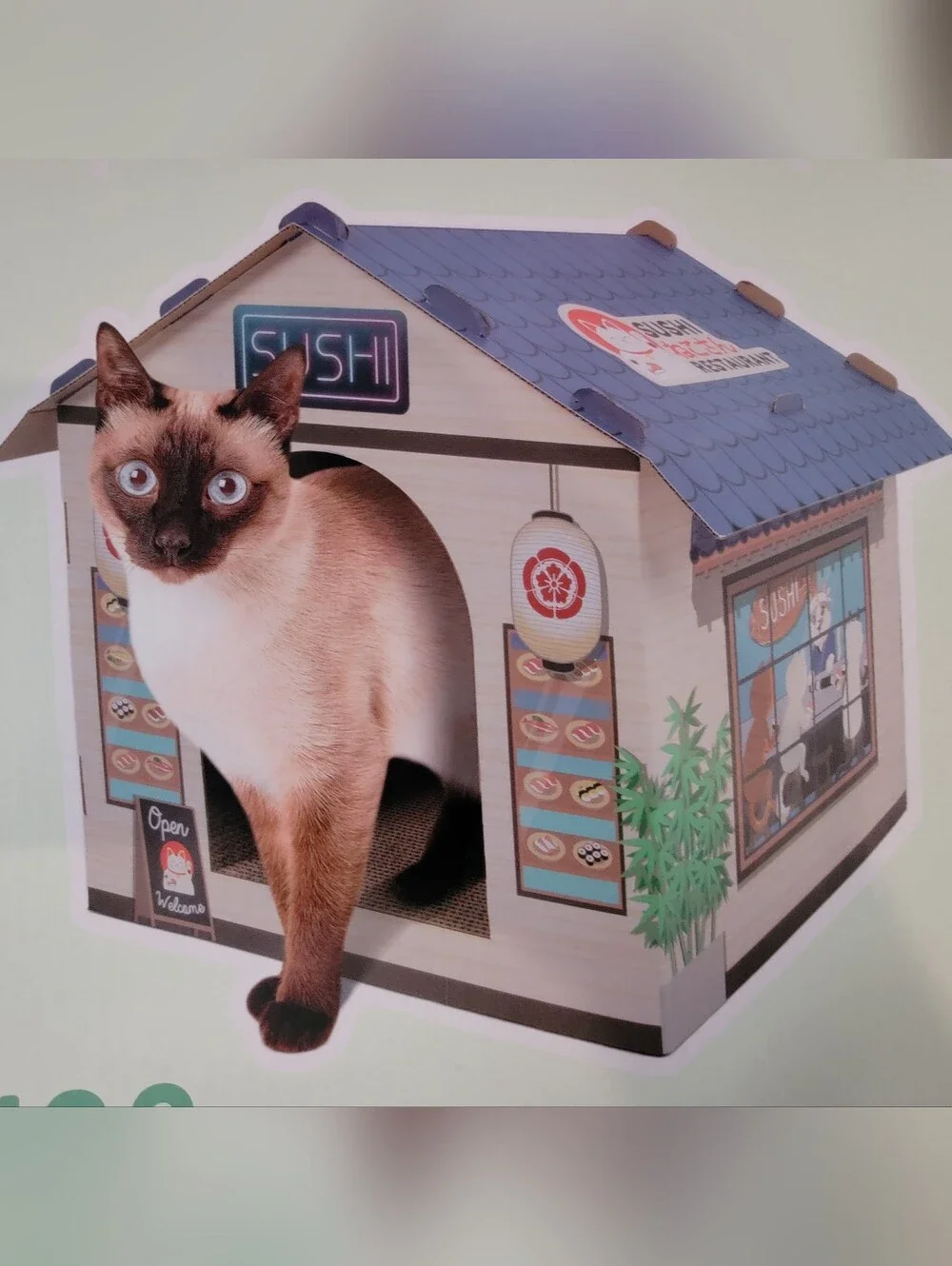 Cat House Cardboard Sushi New Standup Condo - Ea.